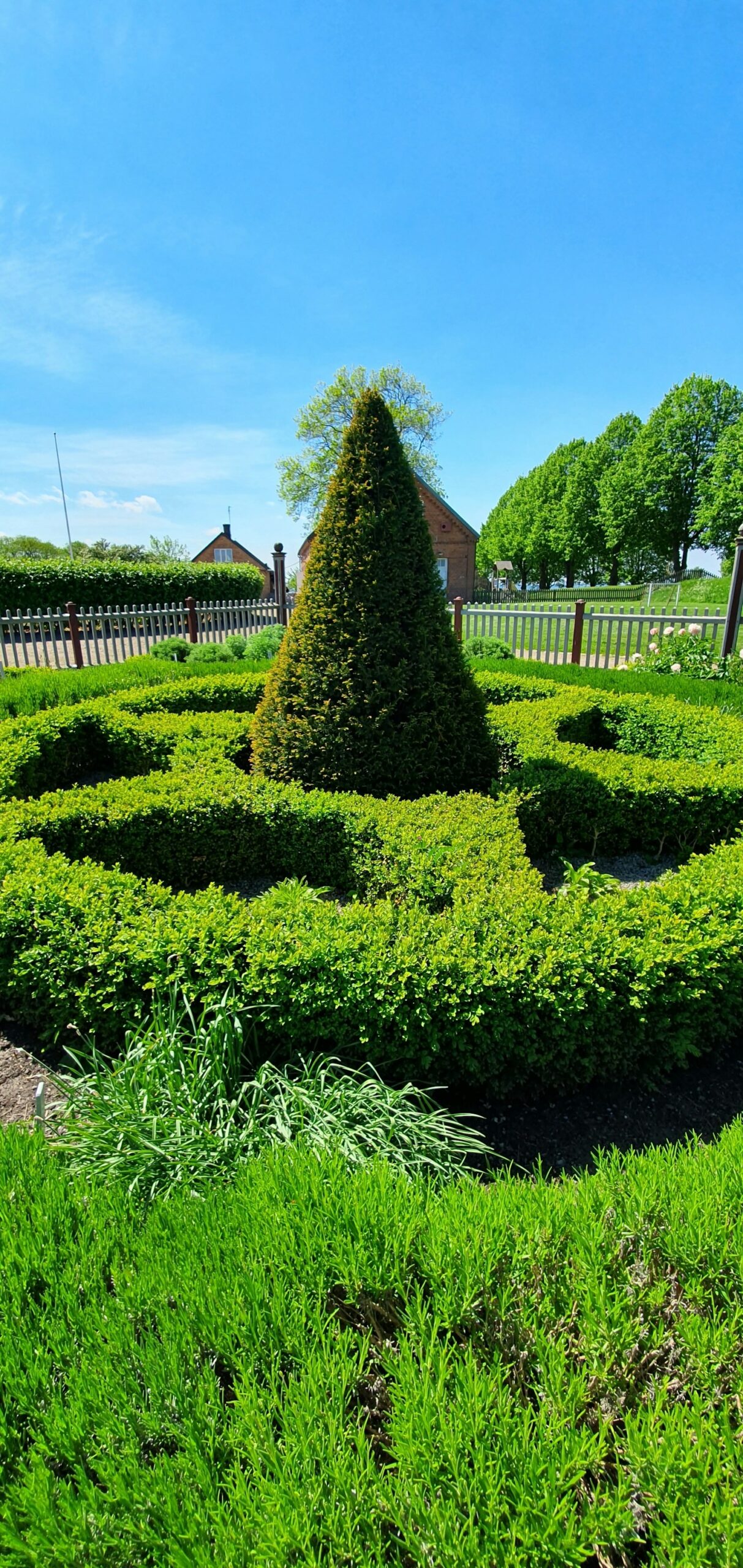 What to Expect During an Emergency Tree Removal