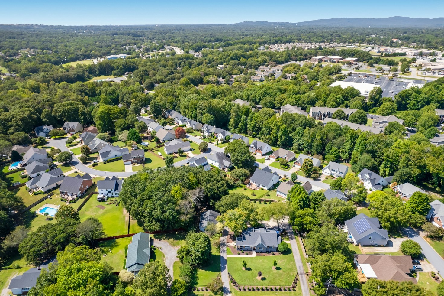 Why Hiring a Certified Arborist Matters Most
