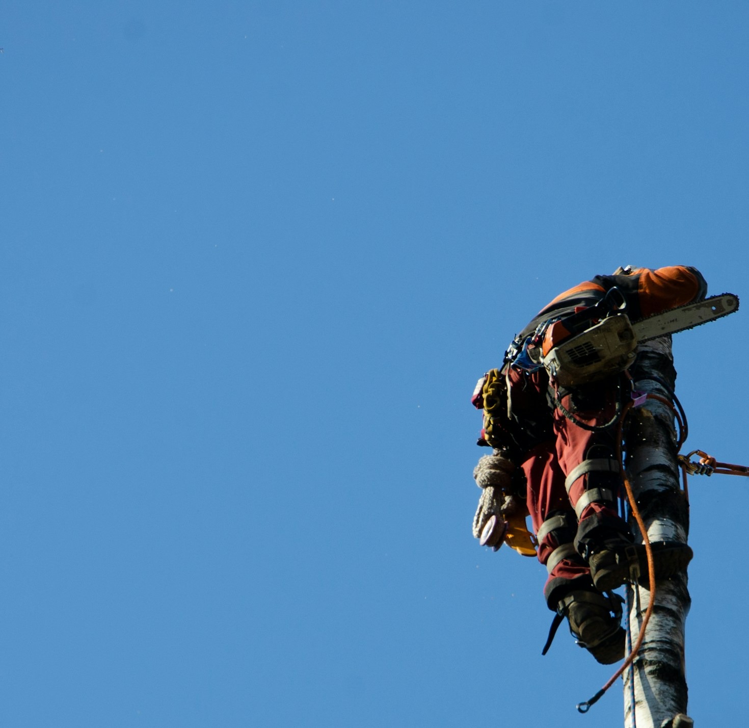 How Storm Damage Affects Your Home’s Trees